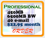 Professional Web Hosting Plan